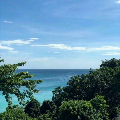 大秦帝国之帝国烽烟小米端下载