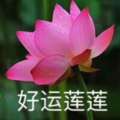 最q幻想百度版下载